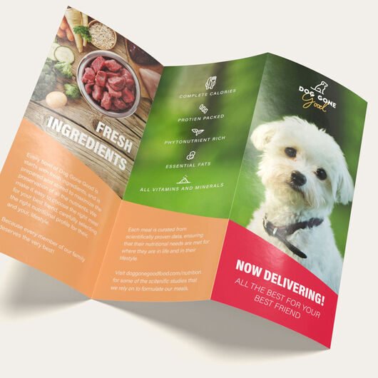 6 Panel Fold Brochures